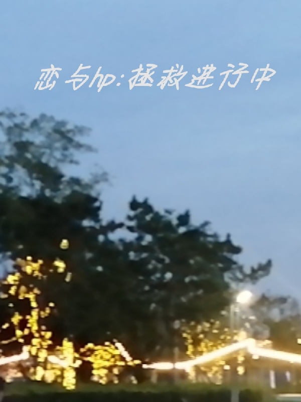 恋与hp：拯救进行中容祁全文免费阅读