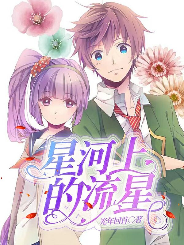 星河上的流星洛羽星小说全文免费阅读