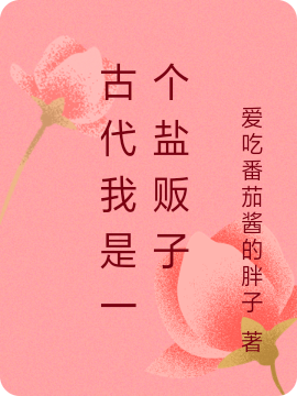 古代我是一个盐贩子武安小说全文免费阅读
