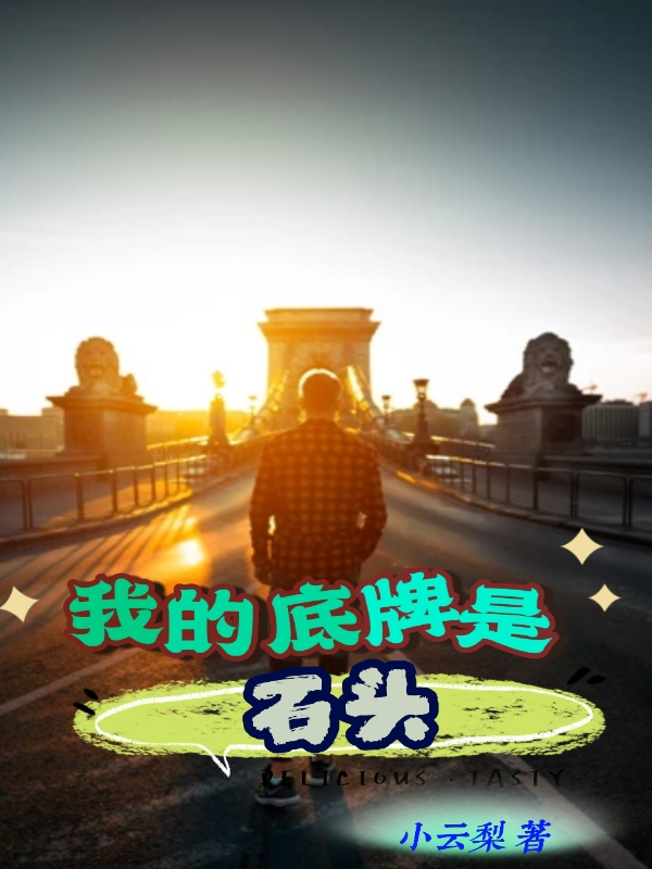 我的底牌是石头全本免费阅读,丁青鱼小说全文