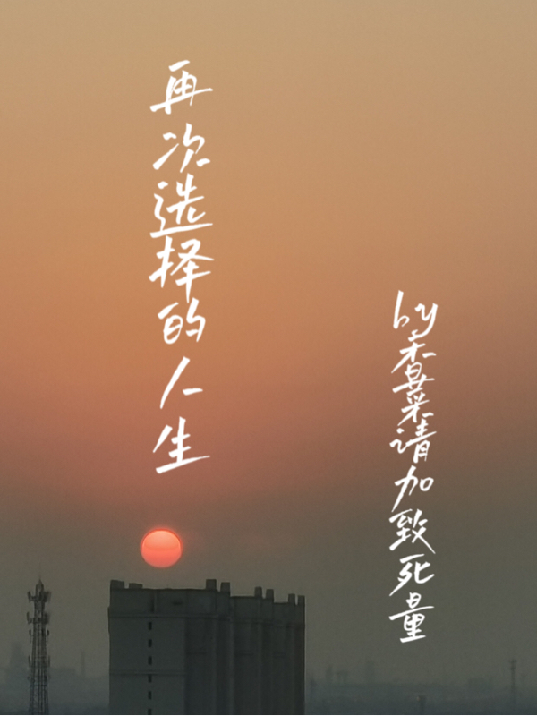再次选择的人生全本免费阅读,安可可小说全文