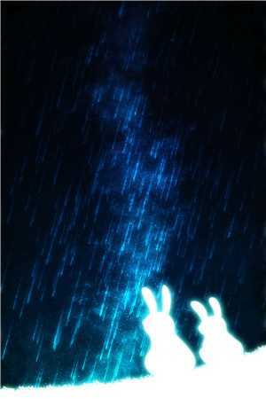 夏雨荷萧毅（天降医婿）全文免费阅读无弹窗大结局_(夏雨荷萧毅)天降医婿免费阅读全文最新章节列表_笔趣阁（夏雨荷萧毅）