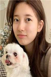 穿成反派大佬的未婚妻林清清宋辞(穿成反派大佬的未婚妻)全文免费阅读无弹窗大结局_(林清清宋辞免费阅读全文大结局)最新章节列表_笔趣阁（林清清宋辞）