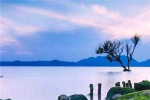 阮小姐独自美丽阮星晚周辞深(阮小姐独自美丽)全文免费阅读无弹窗大结局_(阮星晚周辞深免费阅读全文大结局)最新章节列表_笔趣阁（阮星晚周辞深）
