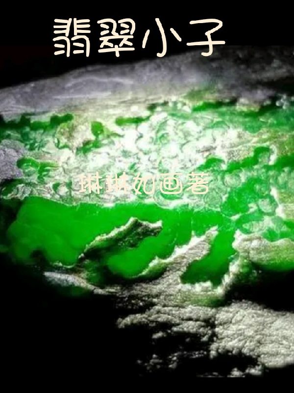 翡翠小子小说（林枫）全文免费阅读无弹窗大结局_林枫（翡翠小子林枫免费阅读）最新章节列表_笔趣阁（林枫）