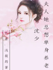 沈少，夫人她总想单身养老林玥汐沈亦君全文免费阅读无弹窗大结局_（林玥汐沈亦君）林玥汐沈亦君最新章节列表笔趣阁（沈少，夫人她总想单身养老）