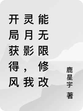 宁缺（开局获得风灵月影，我能无限修改）全文免费阅读无弹窗大结局_(宁缺)开局获得风灵月影，我能无限修改免费阅读全文最新章节列表_笔趣阁（宁缺）