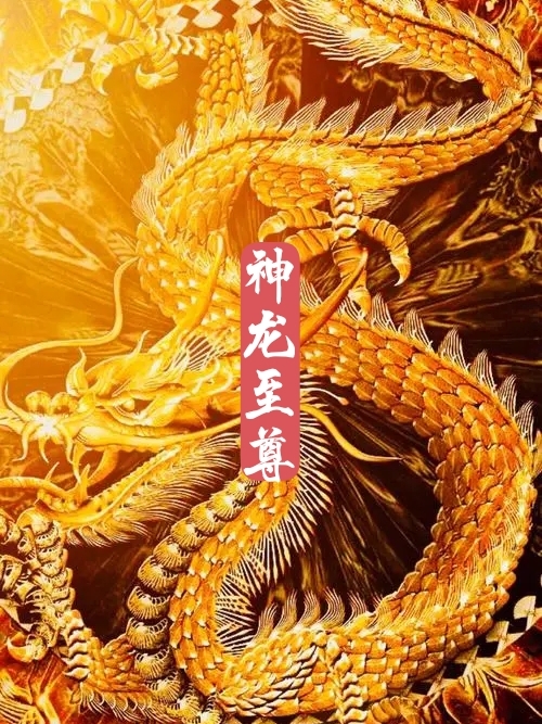 神龙至尊小说（龙天）全文免费阅读无弹窗大结局_(神龙至尊)龙天免费阅读全文最新章节列表_笔趣阁（神龙至尊）