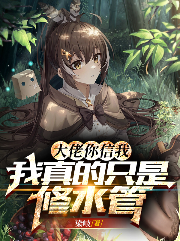 大佬你信我，我真的只是修水管（叶枫）全文免费阅读无弹窗大结局_（大佬你信我，我真的只是修水管）叶枫最新章节列表_笔趣阁（大佬你信我，我真的只是修水管）