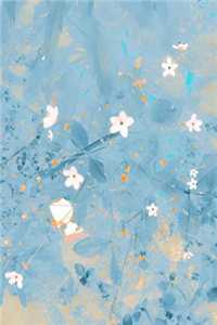 林芷宁陆玺(林芷宁陆玺)最新章节免费在线阅读_《林芷宁陆玺》全本阅读