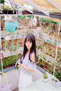 《离婚后我一首歌火遍全国》秦漠凌雪柔_(离婚后我一首歌火遍全国)全文免费在线阅读