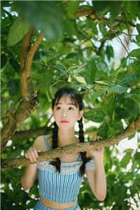 叶卿婉柳太傅《全文穿书：女配她今天又死错了》全文免费阅读无弹窗大结局_（叶卿婉柳太傅）最新章节免费在线阅读