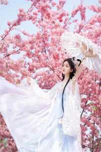 我在网王世界养老小说全本在线阅读_藤堂叶幸村全集免费在线阅读