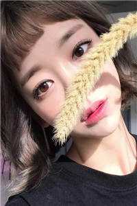 江晨沈凌云全集免费在线阅读_我有九位绝色师娘完整版在线阅读