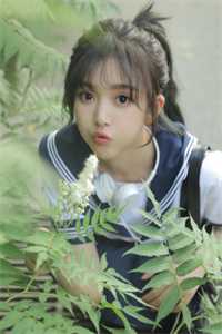若如初遇(苏漾沈宴)_《若如初遇》精彩小说