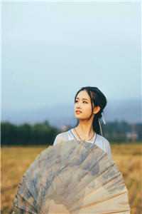 九龙战婿陈玄苏云溪全集免费在线阅读_《九龙战婿》完整版免费阅读