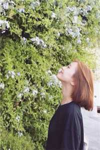 《娇妻捧上天》苏锦棠棠棠_《娇妻捧上天》全集阅读