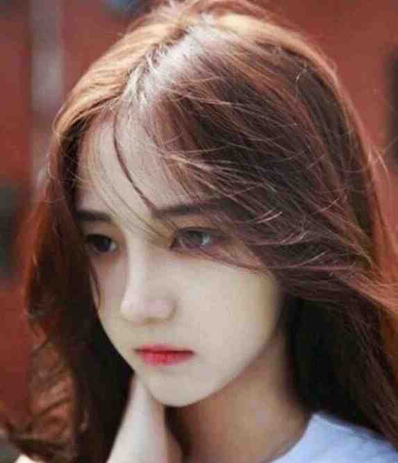 隐婚四年后，夫人带崽要跑路秦非姜舞_秦非姜舞完整版阅读