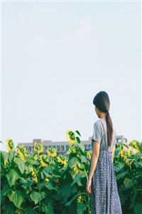 程曼曼柯梁渊(恶妻归来，太太在家杀疯了)全本在线阅读_(恶妻归来，太太在家杀疯了)最新章节阅读