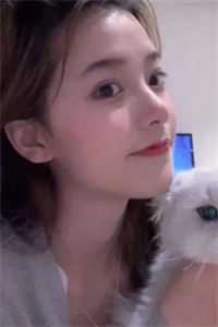 沈鹿沈度《离开豪门后，假千金轰动全球》_沈鹿沈度完整版免费在线阅读