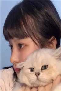 《上门女婿会医术，绝美前妻悔不当初》顾晨姬沅沅最新章节在线阅读_(上门女婿会医术，绝美前妻悔不当初)全文在线阅读
