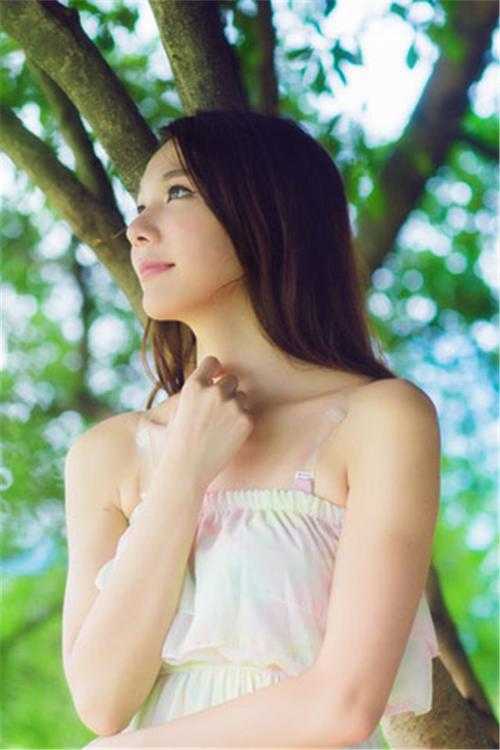 《沈暮顾婉》沈暮梁声完整版阅读_沈暮顾婉全文免费阅读