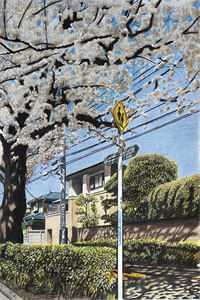 《误把反派当路人，漂亮娇娇被强宠》夏昭牧行野_夏昭牧行野全章节阅读