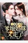 新婚错爱，疯批总裁逼我离婚楼恺平黎皎皎_新婚错爱，疯批总裁逼我离婚全文免费在线阅读