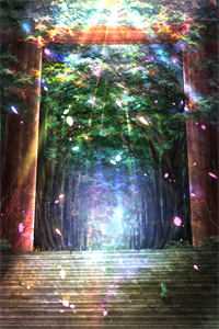 《老娘揭棺而起》沈箬萧琛完结版免费在线阅读_沈箬萧琛全集免费阅读