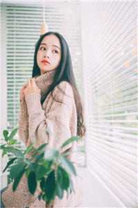 顾幼安牧俞白沙雕女配苟不住，麻了，创飞你们_(沙雕女配苟不住，麻了，创飞你们)完整版免费在线阅读