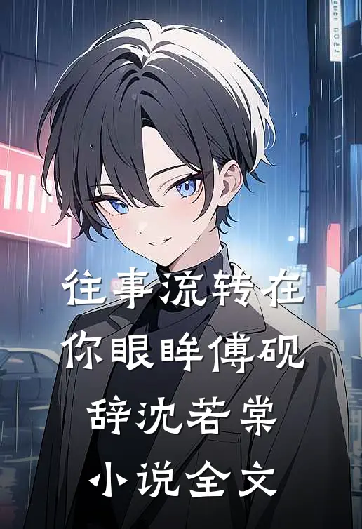 往事流转在你眼眸傅砚辞沈若棠小说全文