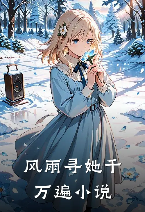 风雨寻她千万遍小说