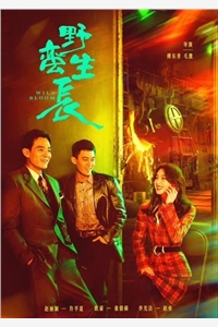 抽卡：我获得神级天赋(宁秦张元)最新热门小说_《抽卡：我获得神级天赋》全集在线阅读