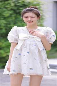 飞花轻如梦