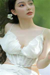 官婿美人香