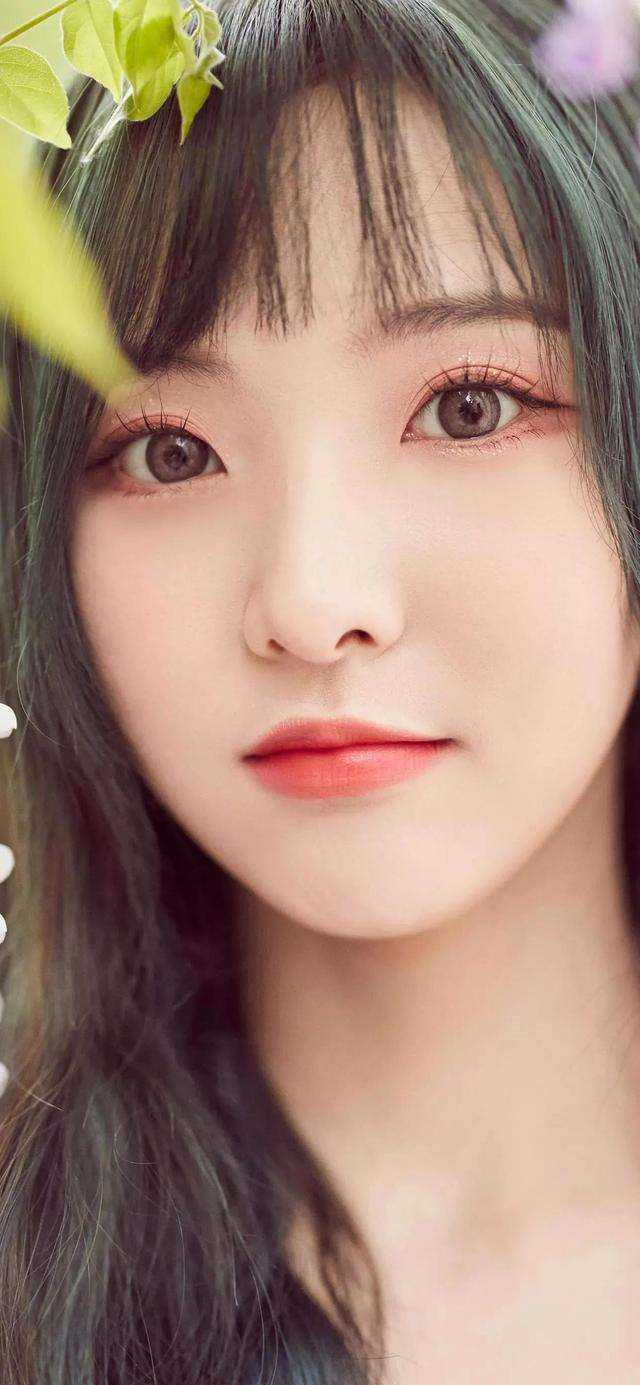 爱如花落无声林月瑶沈寒书免费小说完整版_完结小说大全爱如花落无声(林月瑶沈寒书)