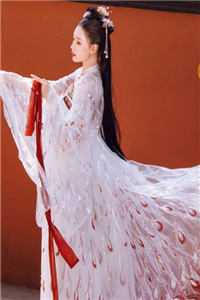 绝世太子妃(张清羽随安)全文免费阅读_新热门小说绝世太子妃(张清羽随安)