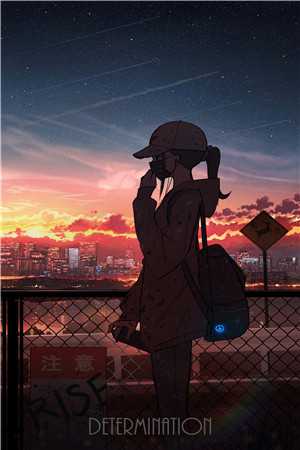 花期不再，花照样开