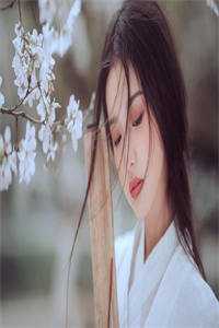 长叹雁归难留