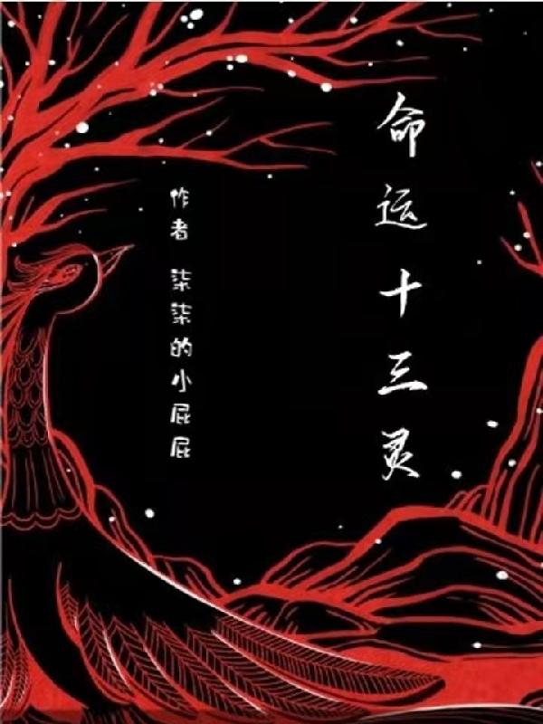 命运十三灵全本免费阅读,苏晟小说全文