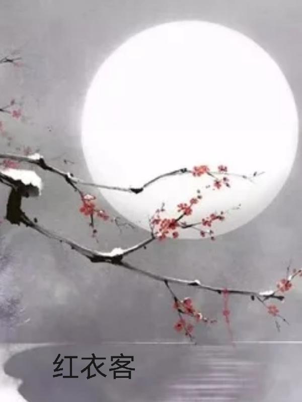 红衣客沙华墨燃尘的小说免费阅读完整版
