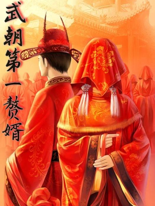 《武朝第一赘婿》小说章节列表免费试读季沐阳小说全文