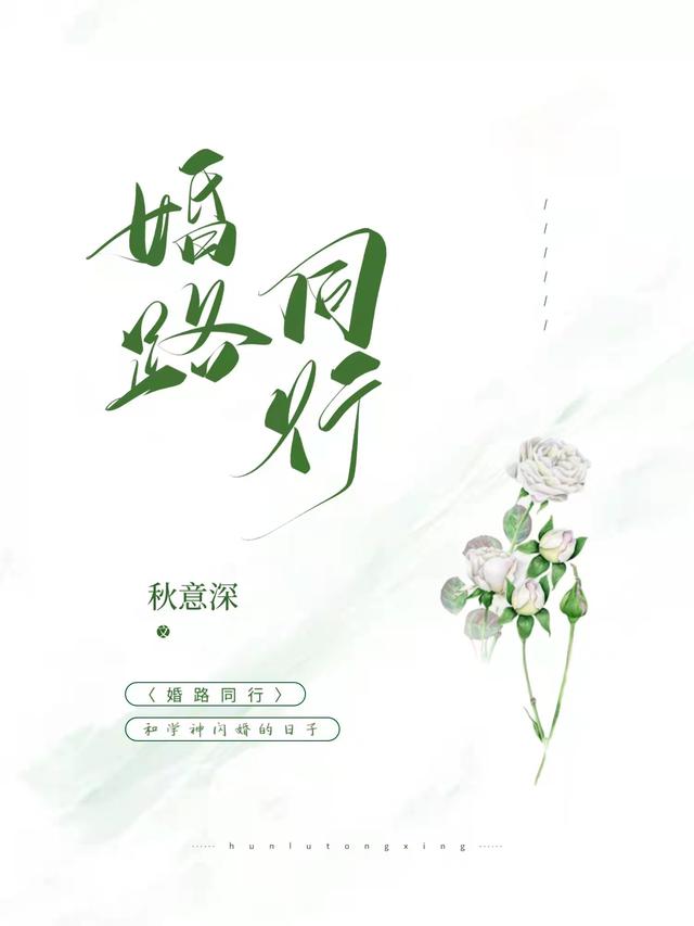 婚路同行司南倪安的小说免费阅读完整版