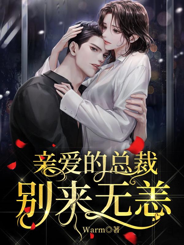 亲爱的总裁，别来无恙陆言叶晴小说全文免费阅读