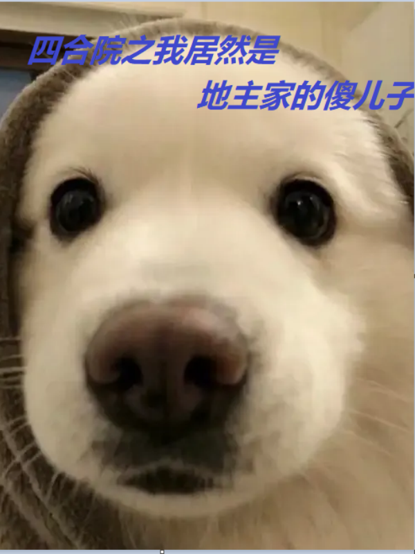 四合院之我居然是地主家的傻儿子（李家宝）全文免费阅读无弹窗大结局_（李家宝）四合院之我居然是地主家的傻儿子小说最新章节列表_笔趣阁（李家宝）