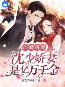 宠妾上位：我成了太子府公敌