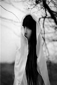 风云神婿