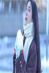 主角陈南叶曦小说