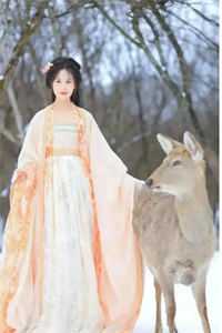 天降三宝，神医丑妻是大佬