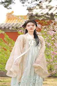 如意宝典在手，农女种田不愁